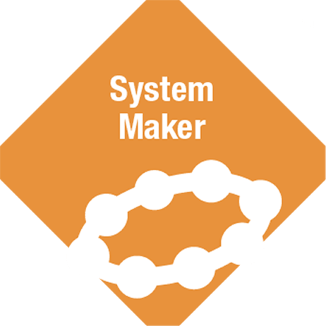System manufacturer